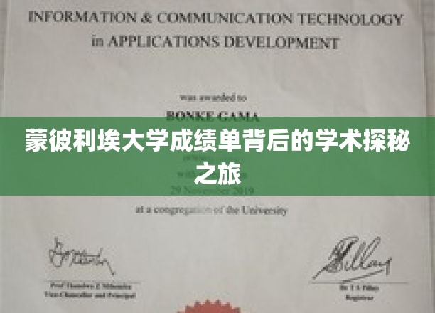 蒙彼利埃大学成绩单背后的学术探秘之旅