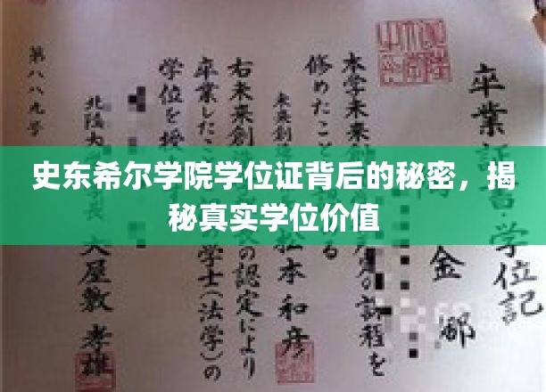 史东希尔学院学位证背后的故事，揭秘学位的真实价值