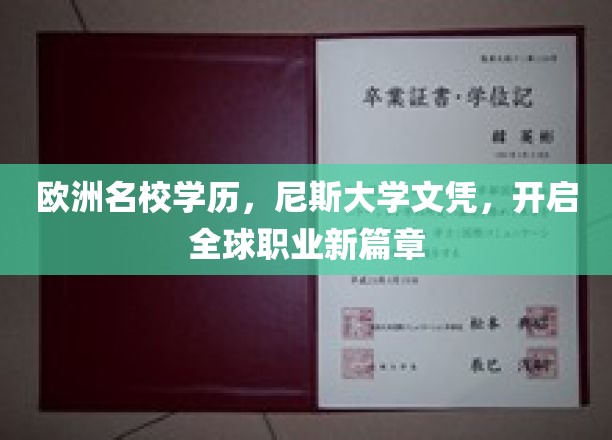欧洲名校学历，尼斯大学文凭，开启全球职业新篇章
