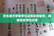 史东希尔学院学位证之谜，探寻学位背后的真实价值与意义